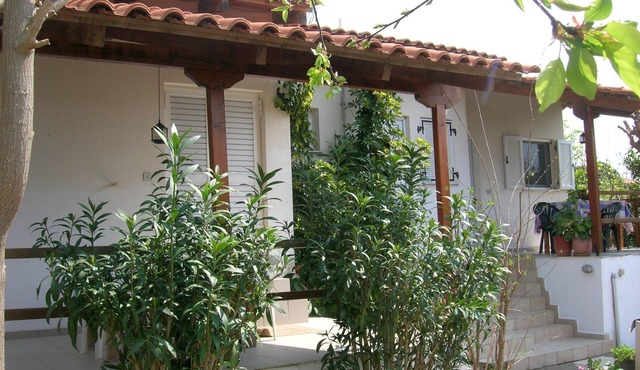 Calm located, amid an olive grove, close to the beach, wifi | holiday house Ilia
