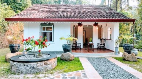 Calm Villa