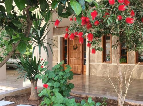 Camelia Apartment