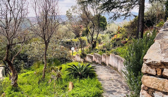 Camera Coralli - Villa Flores
