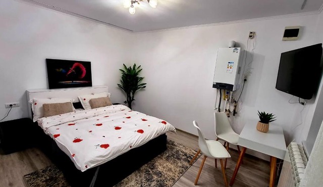 Camera/garsoniera in regim hotelier