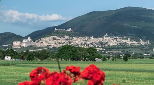 Camere Mariella