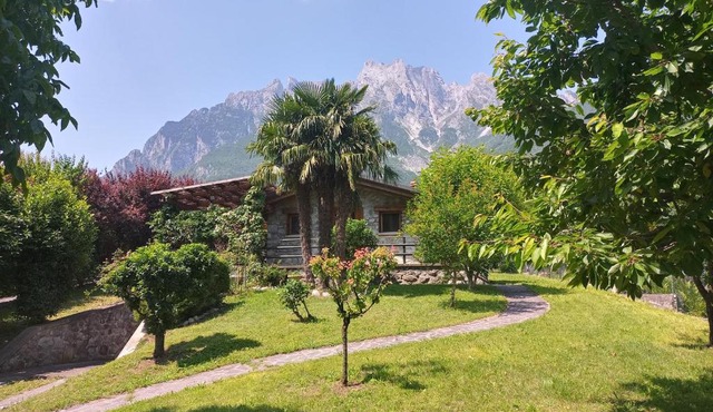 Camotta