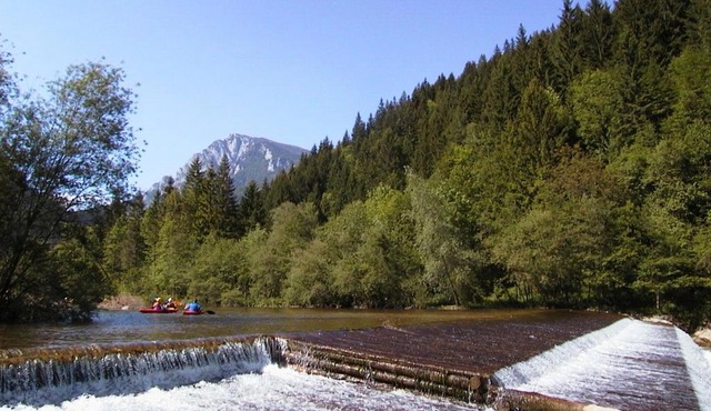 Camp ŠMICA