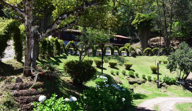 Campestre DAARLU
