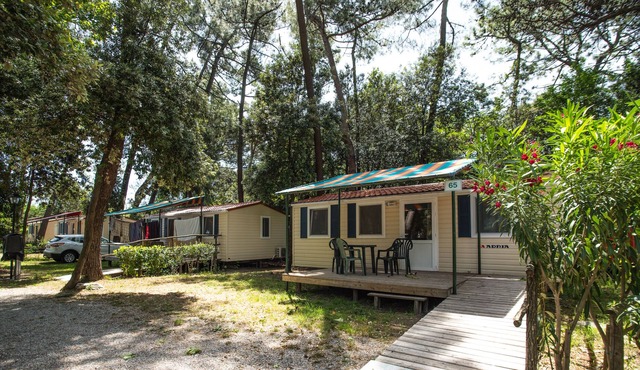 Camping Al Bosco