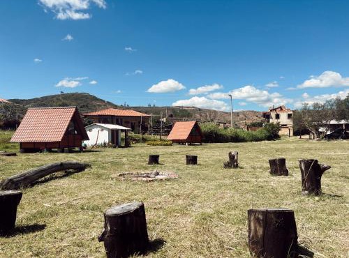 Camping Ali bosque