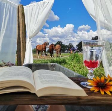 Camping Farm