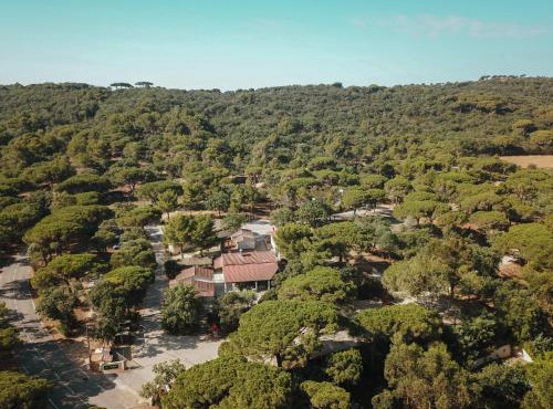 Camping Ladouceur