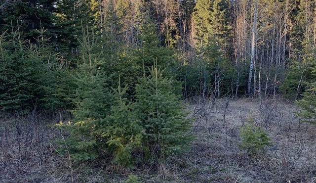 Camping on private land