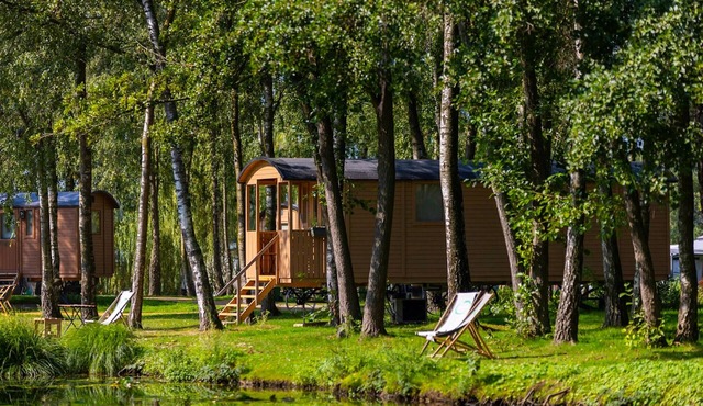 Camping Papillon Kinrooi - Pipowagen 4 p. terras