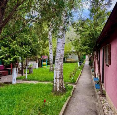 Camping Paradisul Soferilor