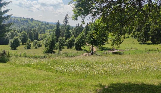Camping VATRA