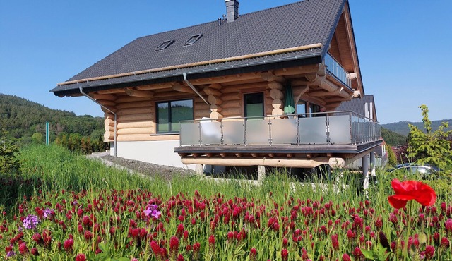 Canadian log cabins in the Hunsrück with lake and national park views