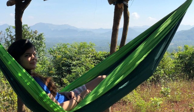 Canary Forest Camping