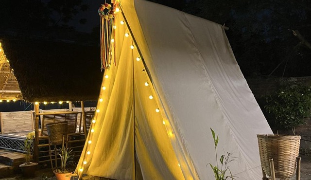 Canopy Haven