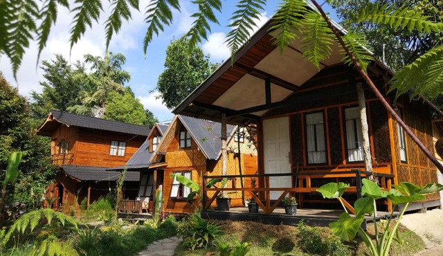 Canyon Jungle Stay