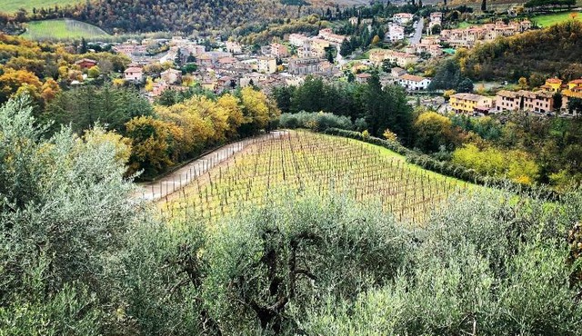 Capannelle Wine Resort