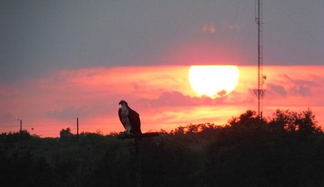 Cape May Sunset Boat Cruise