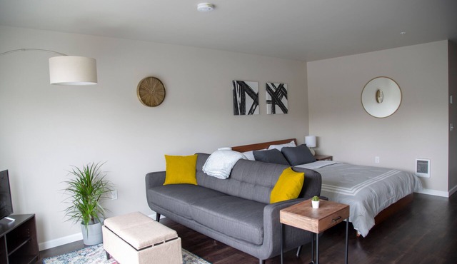 Capitol Hill Hideaway: Modern Studio with Free Parking!