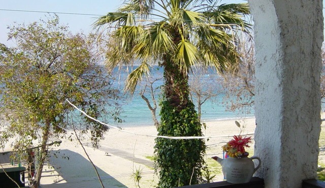 Captain's Beach Apartments
