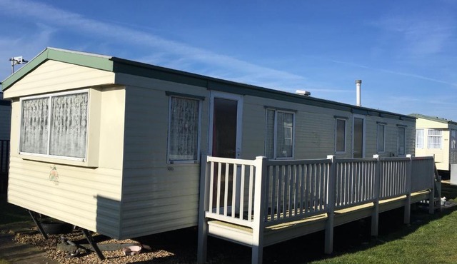Caravan Golden Palm