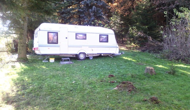 Caravan right on the edge of the forest ...
