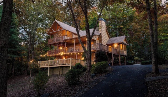 Cardinal and Bear Lodge