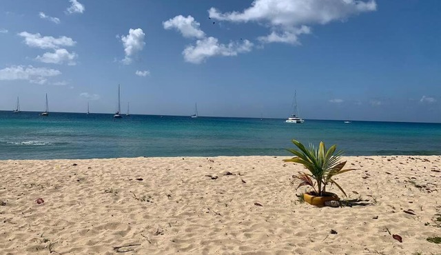 Caribbean Gem ocean block in the center of town