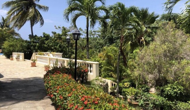 Caribe Campo