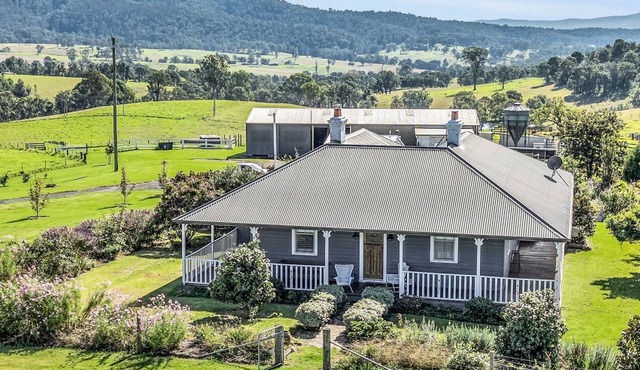 Carinya - Cobargo Bermagui Road 1154