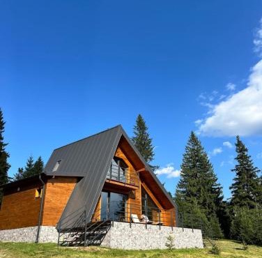 Carpathic Chalet