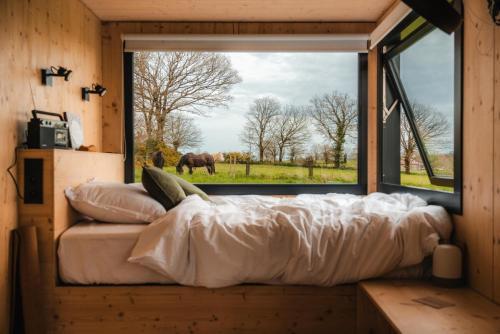 Carré d'Ach - Parcel Tiny House - Tiny House près de Rennes entourée par les chevaux MAE-7543