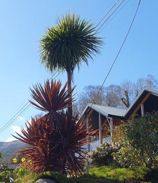 Carrick Chalets