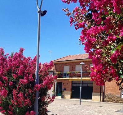 CASA ABUELA