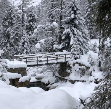 Casa All'Alpe