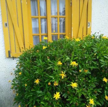 Casa Amarela