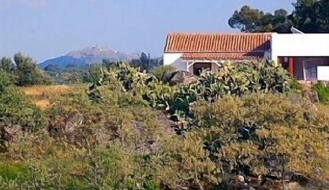 Casa Amor Perfeito is an unique romantic hide away