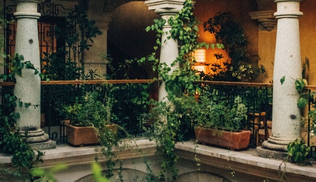 Casa Antonieta
