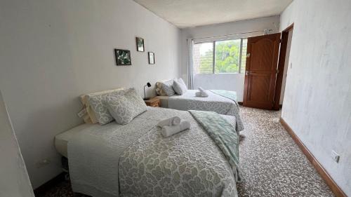 CASA AZALEA