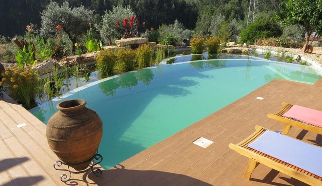 Casa Azul self-catering apartment with gorgeous biological swimming pool