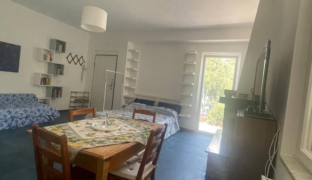 CASA AZZURRA Nice one-room apartment with terrace in Cilento. Pet friendly