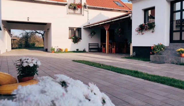 Casa Badea