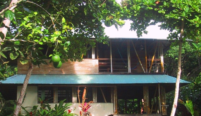 Casa Bambu, Bamboo Rainforest Beach House