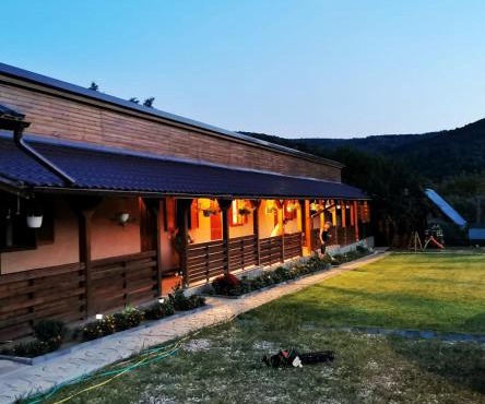 Casa Borcean 2
