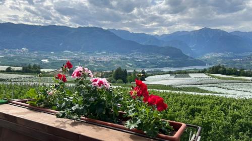 Casa Borghesi - Appartamenti vista lago e Dolomiti