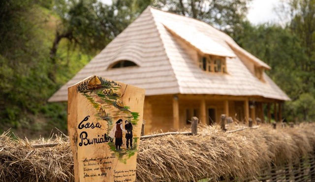 Casa Bunicilor Apuseni