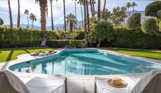 Casa Cactus - Deepwell Midcentury Oasis