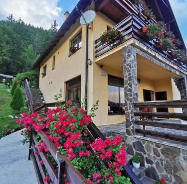 Casa Codrilor