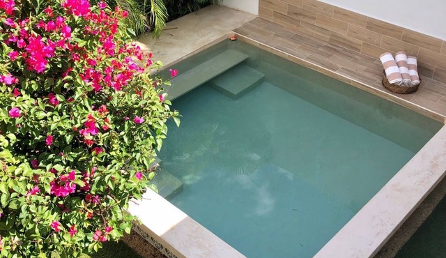 Casa Colonial en el Centro de Mérida, Remodelada, Excelente Para Grupos Grandes